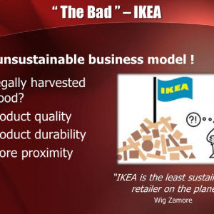 Example 2 of poor Powerpoint Presentation